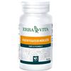 Erba vita Olio fegato merluzzo 100 perle 453 mg