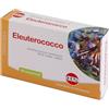 Kos Eleuterococco estratto secco 60 compresse