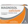Magnosol calcium polvere effervescente 20 bustine