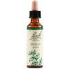 Holly bach orig 20 ml