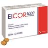 Eicor 1000 30 softgel