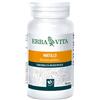 Erba vita Mirtillo 100 perle