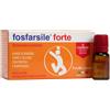 Fitobucaneve Srl Fosfarsile Forte Ginseng 10 Flaconcini 10x1 ml Soluzione orale