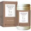 giorgini Artemisia annua polvere 180 g