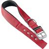 Ferplast Collare Cane Taglia Media Collare per Cani in Nylon Imbottito Regolabile Fibbia Metallica, Misura Collo 32-39 cm, Rosso