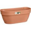 Elho Vibia Campana Wall Basket 35 - Fioriera per Balcone esterno - Ø 35.0 x H 14.8 cm - Marrone/Terra