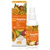 Helan, I Sorbetti MangoBoom - Acqua Profumata Donna e Uomo Spray Idratante e Analcolica, Lozione Tonificante con Estratto di Ananas e Papaya - Tonico Viso e Corpo Rinfrescante con Vitamina C, 100 ml