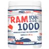 Prolabs RAM 1000 (500cpr)