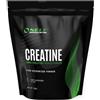 Self Omninutrition Creatine (500g)