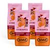 Bristot, Caffè in Grani ETHIOPIA - Chicchi provenienti solo da Sidamo Etiopia con Note di Bergamotto, Arancia e Spezie - Set da 4 Confezioni da 225g (Totale 900g)