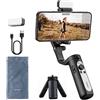 HoHem Smartphone Gimbal iSteady XE Kit Stabilizzatore per telefoni cellulari a 3 assi per iPhone 14 13 Pro Max & Android,Luce di riempimento,per Youtuber,Vlog,Registrazione video(Colore nero)