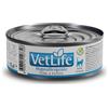 Farmina Vet Life Feline Hypoallergenic Patè Diet 85 gr - maiale e patate Monoproteico crocchette cani Dieta Veterinaria per Gatti