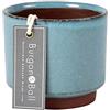 Burgon & Ball Vaso per piante grasse Malibu da interno, blu