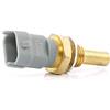 DELPHI TS10253 Sensore Temperatura refrigerante Posteriore