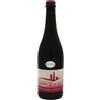 Van de Sype Lambrusco Grasparossa di Castelvetro Van de Sype 2021 0,75 l