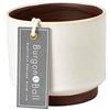 Burgon & Ball Malibu - Vaso per piante grasse, colore: panna
