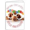 AFIE Biglietto di auguri di compleanno umoristico con busta illustrata, formato 17,5 x 12 cm, divertente e divertente, travestito con occhiali per fare la festa, realizzato in francese 69-6201