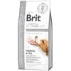 Brit veterinary Brit Grain Free Veterinary Diet Dog Joint & Mobility Aringhe con piselli 12kg