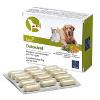 Orme Naturali Detoxivet - 60 compresse