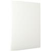 Bticino Spa Centralino Incasso Con Portello Bianco RAL 9003 54 Mod.DIN(3x18) Bticino F315PB54
