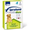 ALFAMED S.A. Fipralone Duo 268mg/80mg Soluzione Spot-on Per Cani Di Taglia