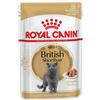 Royal Canin Breed Royal Canin British Shorthair Adult umido in Salsa per gatti - Set %: 96 x 85 g