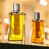 Morph Nudo Eau de parfum intense