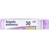 Spigelia Anth BOI BOIRON® Spigelia Anthelmia (Boiron)*80 Granuli 30 Ch Contenitore Multidose 4 g
