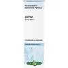 Avena Semi Erba Vita Avena Tintura Idroalcolica 50 ml Soluzione orale
