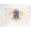 AZ FLAG Bandiera Regno di Francia Angelo 45x30 cm Cordini