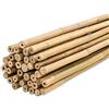 PLANTAWA Canne di Bambù 60 cm Confezione 25 Unità Ø 6-8 mm | Paletti per Piante di Pomodoro, Ortaggi e Alberi | Paletti per Piante di Varie Dimensioni. Resistenti Canne di Bambù