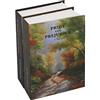 BTV Arca Caudales Mecanica Libro 187X130X88 BTV 10826