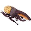 Lilizzhoumax Peluche Insetti 25cm/10 Morbi Giocattoli Selvatici - Bambole per Bambini