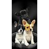 Miracle Home. Telo mare in microfibra Puppy, 100% Poliestere, 75 X 145 Cm.15081