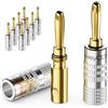 deleyCON 10 Pezzi Connettori a Banana Come Set - Placcato Oro Avvitabile per Cavo per Altoparlanti 0,75 mm - 4,5 mm & ad Esempio HiFi Ricevitore - Argento