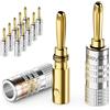 deleyCON 12 Pezzi Connettori a Banana Come Set - Placcato Oro Avvitabile per Cavo per Altoparlanti 0,75 mm - 4,5 mm & ad Esempio HiFi Ricevitore - Argento