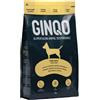GINQO Cibo Secco per Cani Naturale 12Kg - Crocchette per Cani Ipoallergeniche Monoproteiche con Proteine di Insetti - Mangime per Cani Senza Glutine, Gastrointestinal e Senza Cereali - Cani Adulti