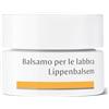 WALA ITALIA SRL DR HAUSCHKA BALS LABBRA 4,5G