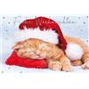 bsb Biglietto di auguri di Natale Calendario dell'AvventoGatto addormentato con cappello