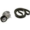 GATES Kit Cinghie Poly-V K036PK1245 EPDM (Etilene-Propilene-Diene-Caucciù) Compatibilità con PEUGEOT 3008 0U 308 I Hatchback 4A, 4C 5008 0U, 0E, CITROËN C4 II B7