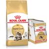 ROYAL CANIN Maine Coon Adult 10kg + umido Mainecoon 12x85 g
