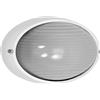 Applique da esterno Ovale E27 bianca IP54 Colore Bianco