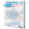 FIDIA FARMACEUTICI SPA CONNETTIVINA CER HITECH 10X10