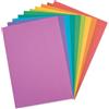 Sizzix Revealz - Cartoncino levigabile A4