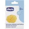 Chicco Spugna Marina Naturale Chicco