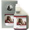 Alfavet PulmoAlfa Horse, Succo per sostenere Le difese fisiologiche delle Vie respiratorie, mangime complementare per Cavalli, flacone dosatore da 500 ml