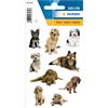 HERMA 3432 Adesivi Cani Piccolo Grande Confezione da 27 Adesivi Animali con Labrador Bassotto Collie Cane Razze Etichette per Bambini Album Fotografico Diario Album Poesie Scrapbooking Compleanno