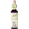 SCHWABE PHARMA ITALIA Schwabe Pharma Impatiens Fiori Di Bach Original Rimedio Fitoterapico 20ml