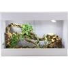 Lucky Reptile Iso Tarrium Basic 80 x 50 x 50 cm