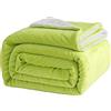 Good Nite Coperta in pile Sherpa, reversibile, 130 x 150 cm, soffice e calda, per letto domestico e in viaggio (verde, singolo)